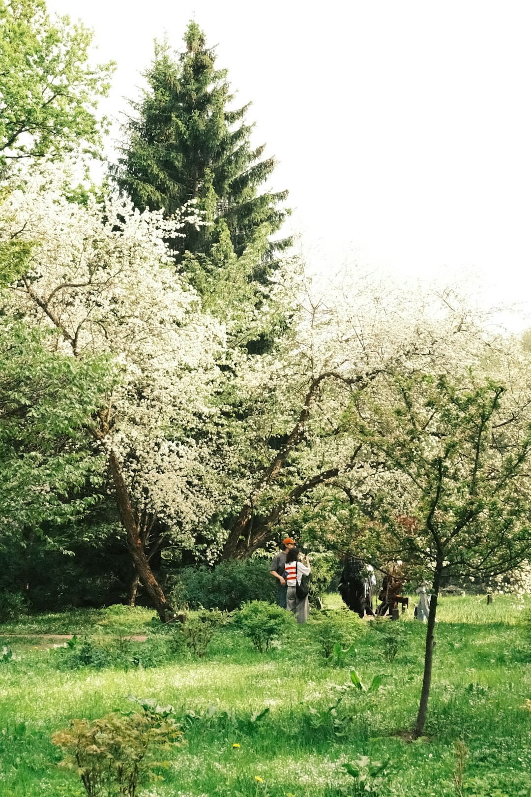 couple walking in park
